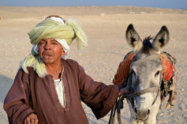Почему бы не превратить Казахстан в такой же рай для туристов, как Египет?